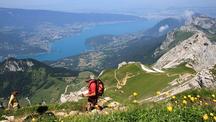Activités en Suisse