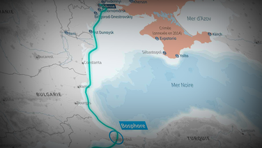 Mer Noire : comment l'Ukraine a déjoué le blocus céréalier imposé par la Russie