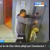 Zapping web du 31 mai 2013 : il sauve un chien piégé par un ascenseur !