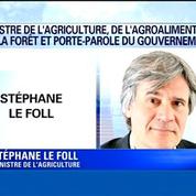 Stéphane Le Foll: 