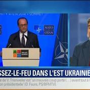BFM Story: Sommet de l'Otan: vers un cessez-le-feu durable dans l'Est de l'Ukraine ?