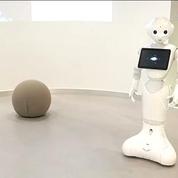 Le succès des robots français à l'étranger