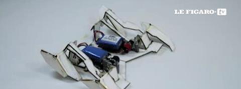Des robots origamis qui avancent comme des insectes